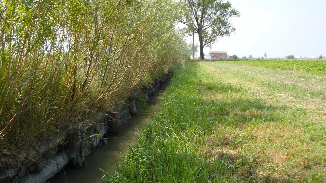 M. DI NATALE, I. BORTONE, D. RUBERTI – Criteri di dimensionamento delle barriere permeabili reattive per la bonifica di un acquifero contaminato