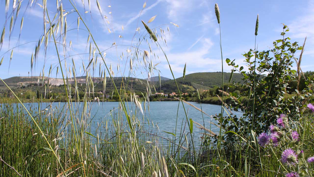 B. GRAVAGNUOLO – Ricognizione storica sull’importanza delle bonifiche idrauliche ai fini della tutela e della valorizzazione del paesaggio in Campania