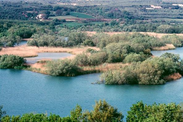 M.R. PINTO – La cura del paesaggio: Criteri di manutenzione nelle aree della pianura campana