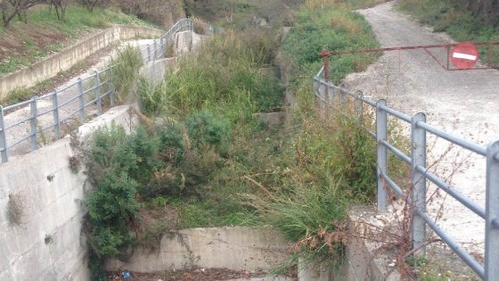 DISBOSCATA LA FORESTA NEI CANALI DI SARNO.